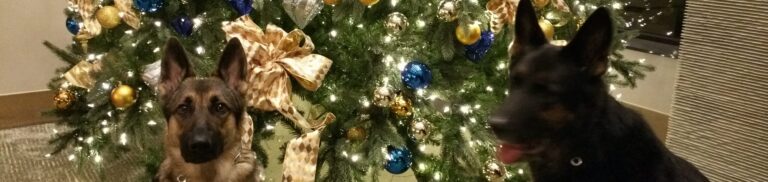 2023 Holiday Party