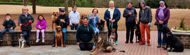 January FIT DOG Walk