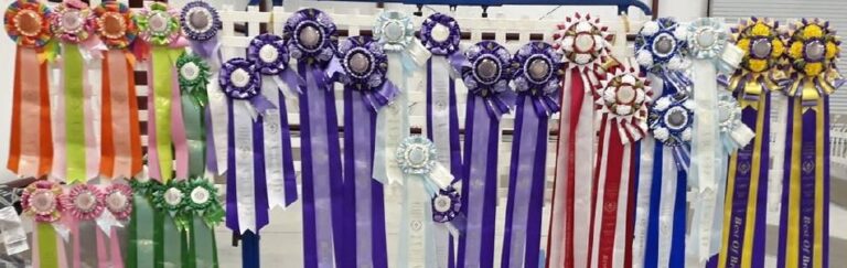 Please Sponsor Rosettes