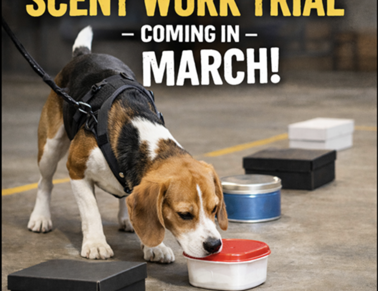 March 2026 Scent Work Trial Announced!