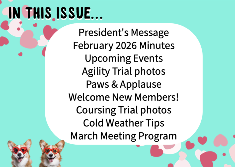 February 2026 Barker Newsletter